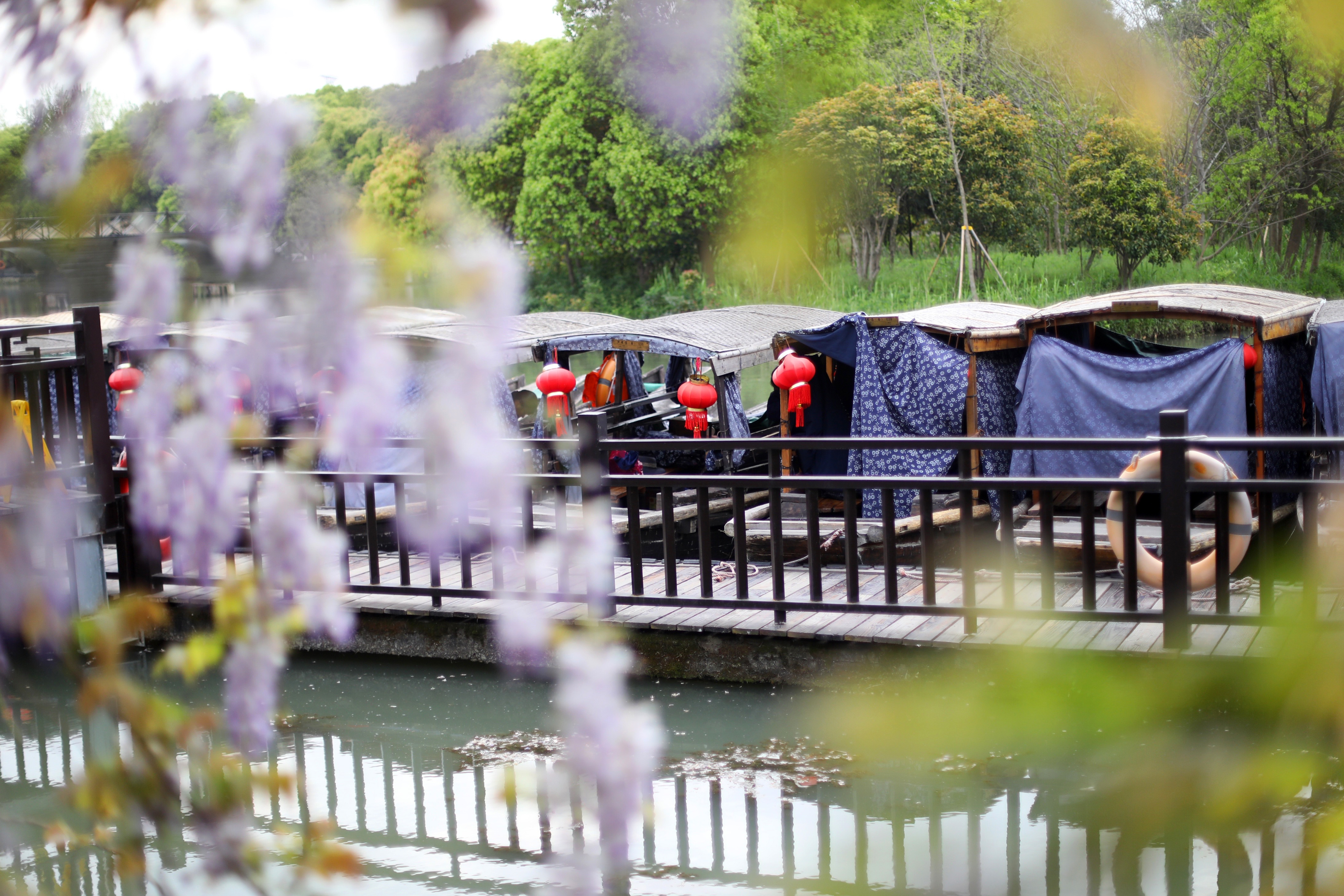 常熟沙家浜一日游结束,常熟水上花田沙家浜
