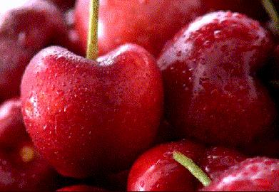 樱桃测评博主,樱桃测评