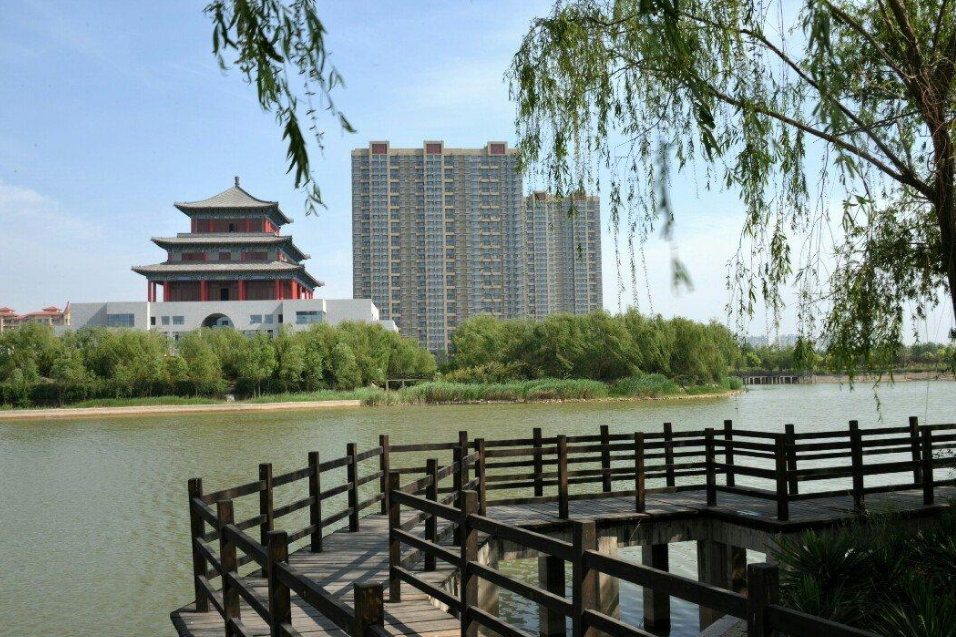 淄博学校排名前十小学,淄博最好的黑马小学