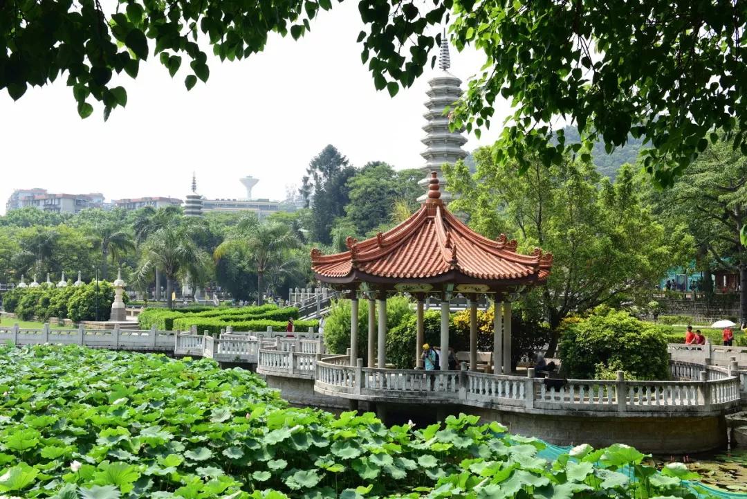 厦门海岸线咖啡网红打卡地地址,厦门观音山网红打卡地