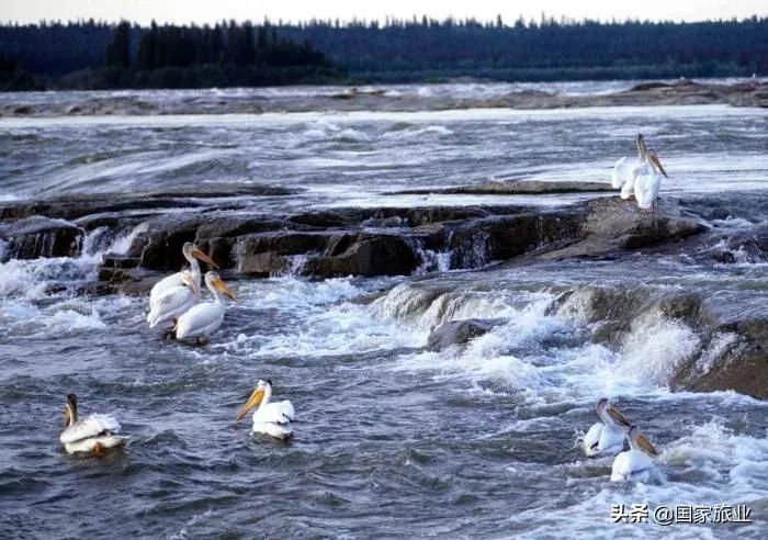 李蔚|旅游局的时代重任，是与目的地潮汐共振