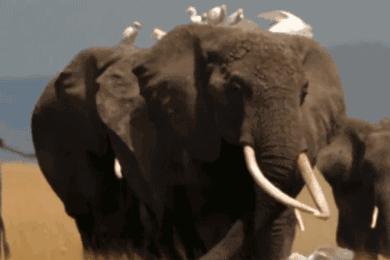 颠覆你认知的16个买房冷知识,广西十大颠覆你认知的冷知识