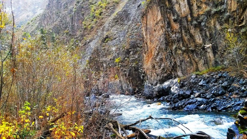 带上UL从狼塔C回家