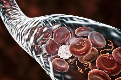 什么病毒是好病毒,现在最厉害的病毒是什么病毒