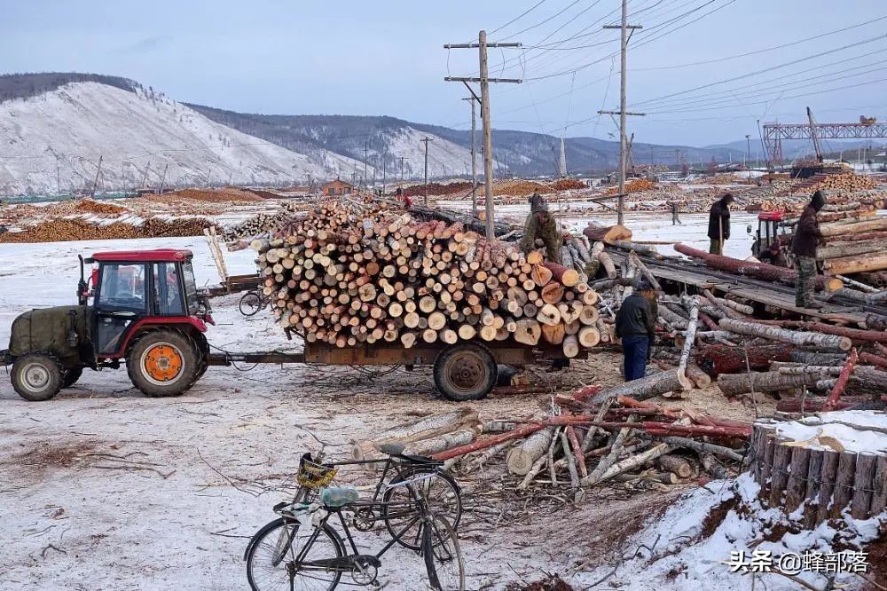 旧木头回收都干什么用,旧木头回收价值