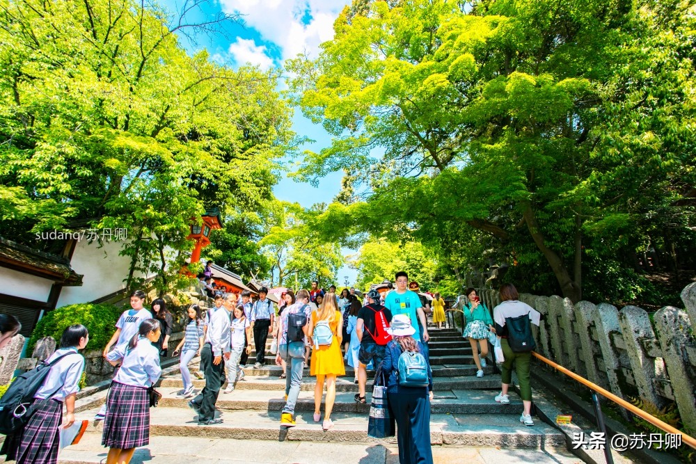 京都伏见稻荷神社可以爬一半吗,京都之旅