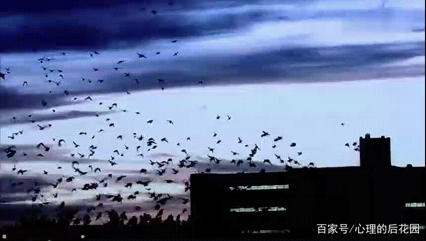 21克真的是灵魂之重吗,21克灵魂意味着什么