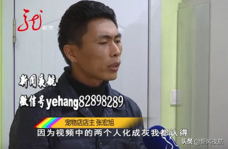 这俩人带宠物狗到处打疫苗，打完疫苗狗就死亡！咋回事？哈尔滨多家宠物店都见过他们