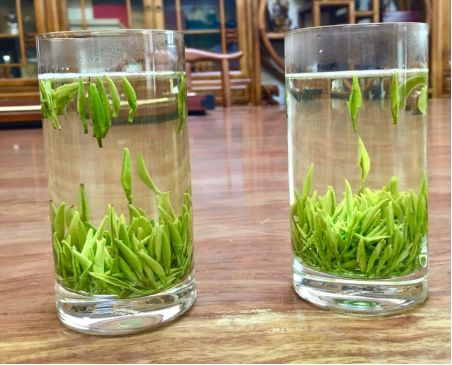 汉中仙毫和安吉白茶的区别 (2023年汉中仙毫春茶上市时间)