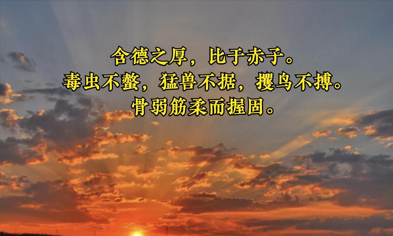 老子各章读书笔记,老子前二十章读书笔记