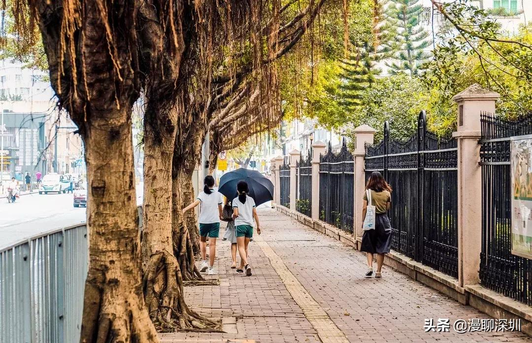 深圳空气中氡含量全国第一,深圳市负氧离子大概是多少