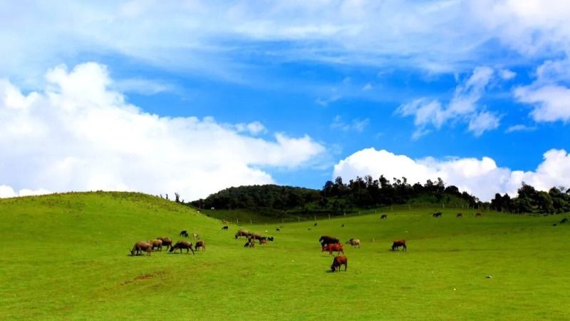 云南旅游攻略强烈建议收藏,收藏云南自驾旅游地图全集