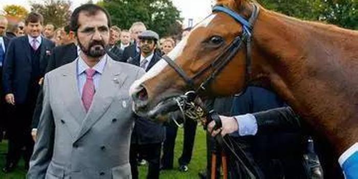 沙海行舟，现实中的霸道总裁，迪拜首富超乎常人想象的生活