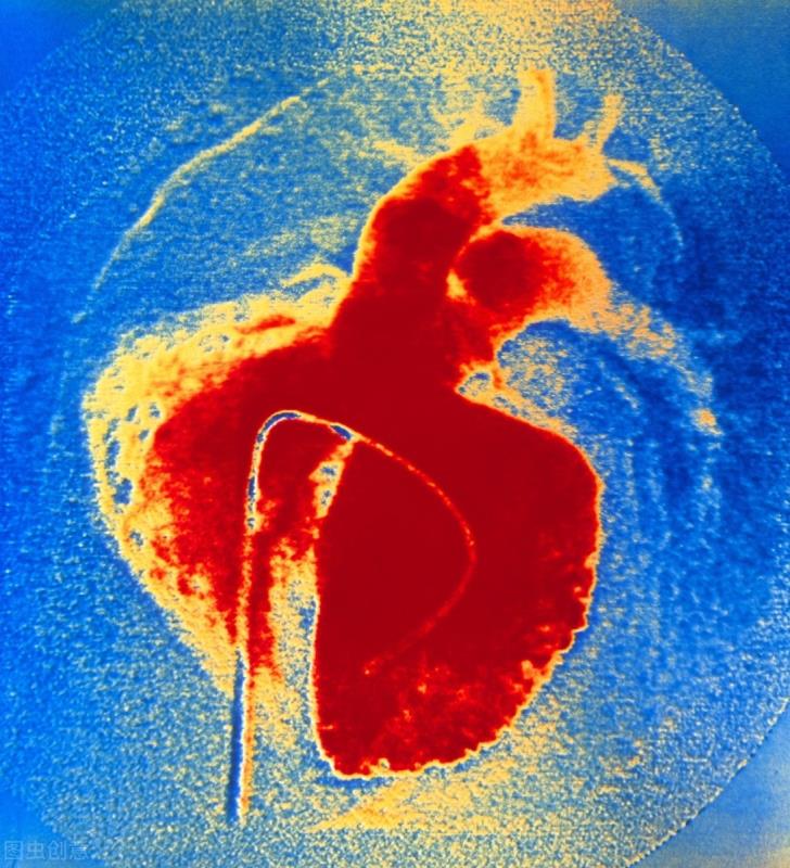 心脏室间隔缺损会遗传吗,先心病室间隔缺损会遗传下一代吗