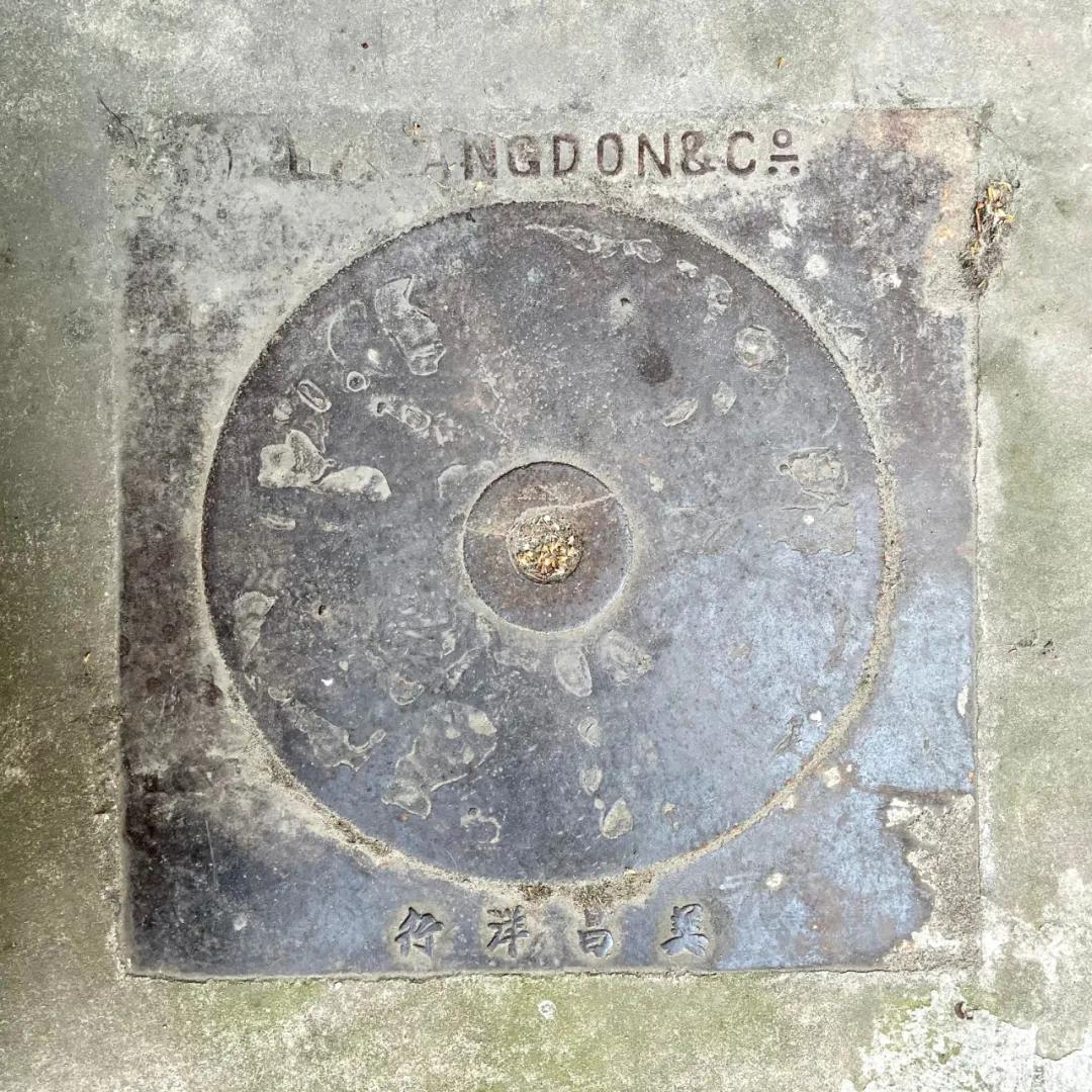 不要错过上海的春天,不要错过上海的夏天