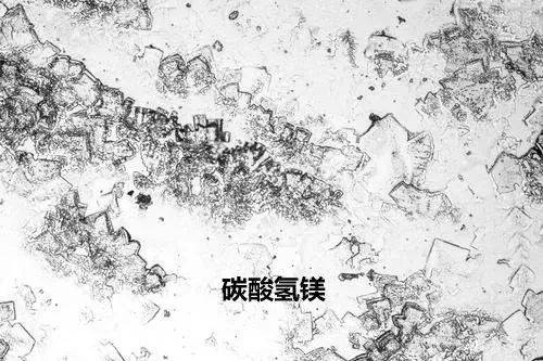 咖啡水质如何区别好坏,咖啡与纯净水