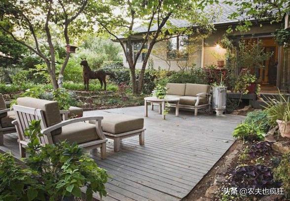 俗语“东不栽榆西不栽桃,前不栽桑后不栽柳”,门口种啥树好?