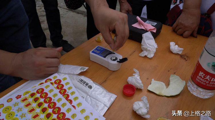 眉山柑橘推介会,眉山柑橘技术