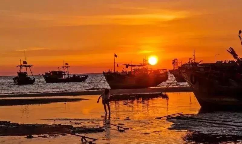 看饿了!南海开渔,佛山人去这些地方吃到high