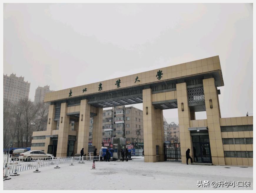 东北农业大学2024年推免生多少人,中国农业大学2024推免结果公示