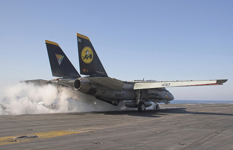 猫迷必备技能,F-14各型号的辨别