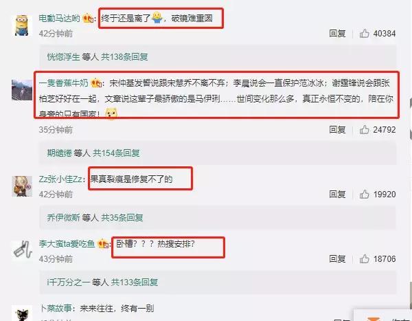 马伊琍文章离婚应知道的四个道理,马伊琍文章离婚后再谈爱情