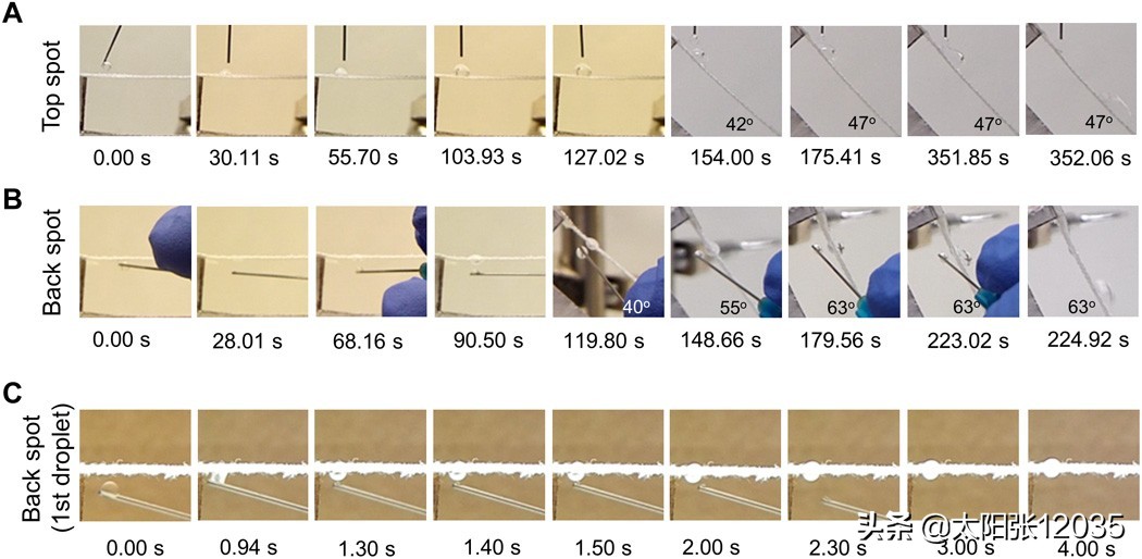 用于个人水分管理的皮肤样面料张入玥编译