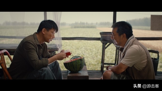 养殖的鱼胶有营养吗,野生鱼胶与养殖鱼胶的区别