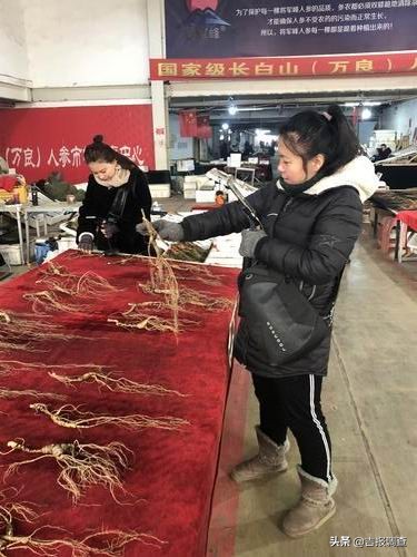抚松县万良人参交易市场视频,长白山万良人参市场直播