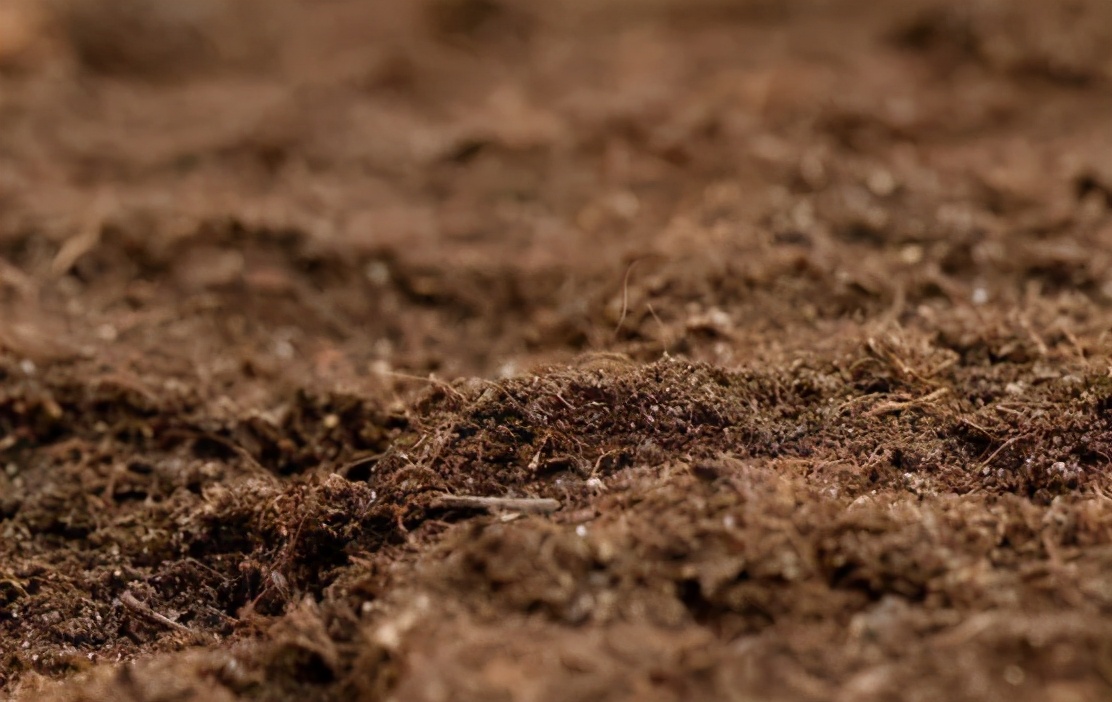 微量元素的作用和使用方法,中微量元素的正确使用方法