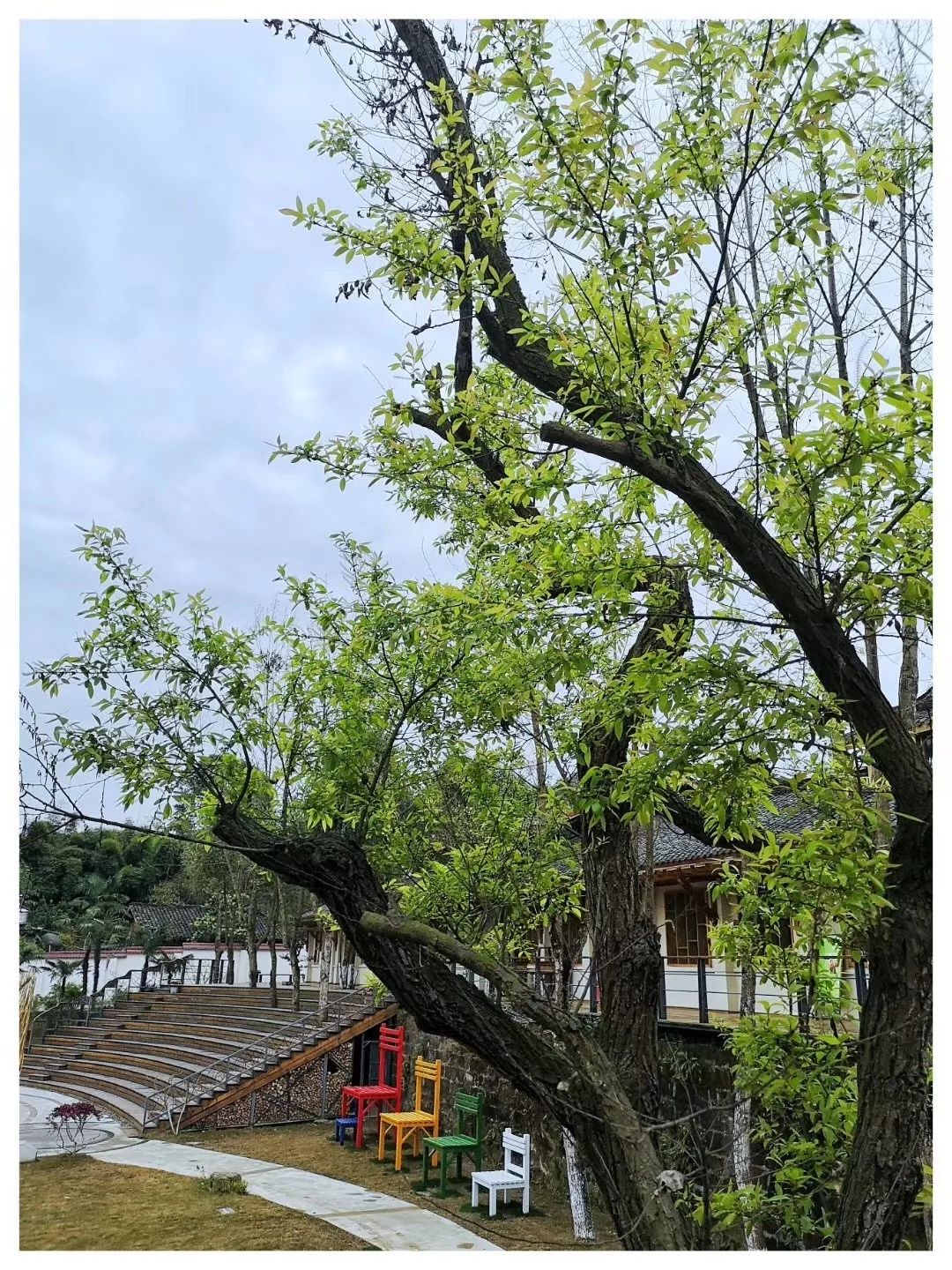 九莲小学办学特色,新津九莲小学