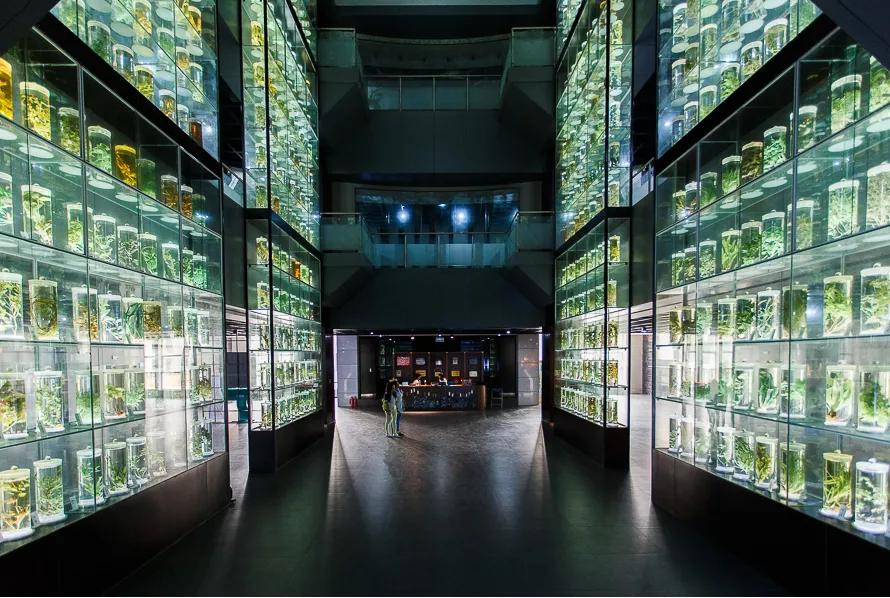 广州中医药大学2021年招生计划,2021年广州中医药大学录取分数线