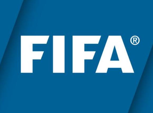 世预赛有假球吗,fifa承认的假球