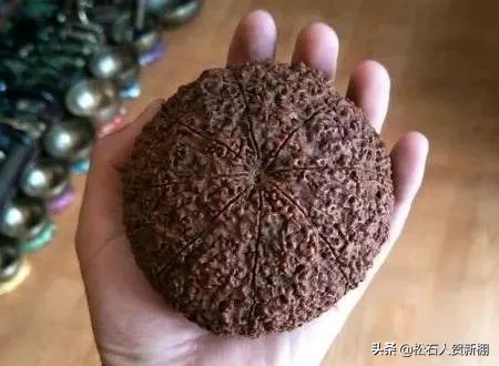 半个手掌大的金刚，一颗值500美元？