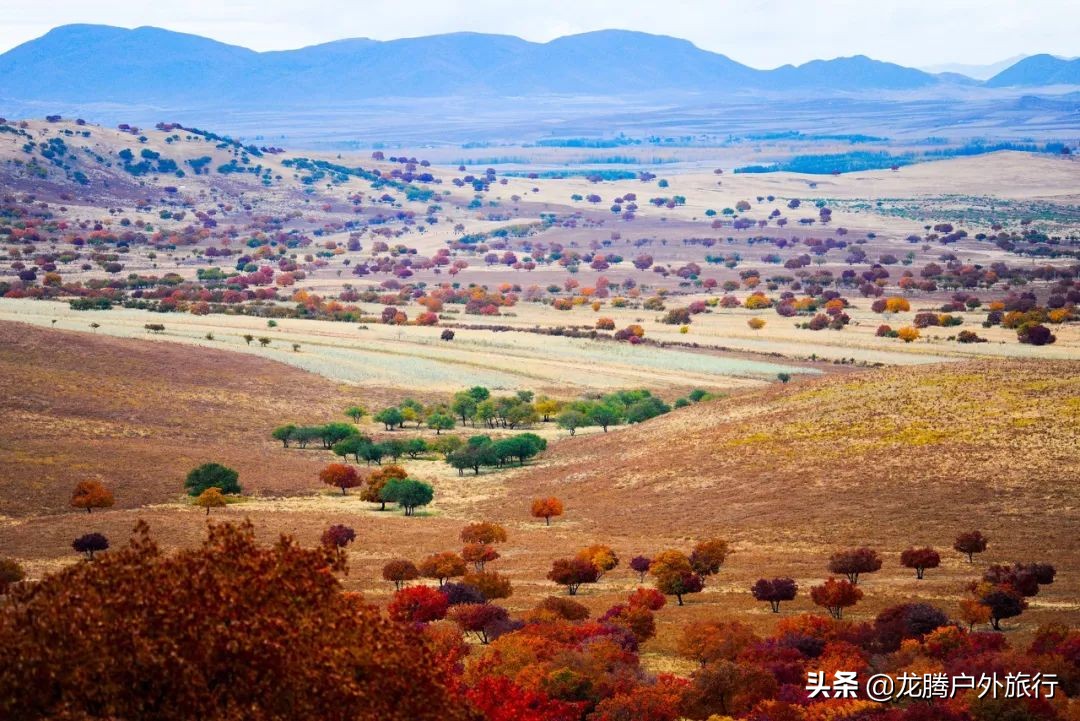 内蒙古最后的秘境！一脚跨3省，美了4季，高铁直达却低调了5000年​