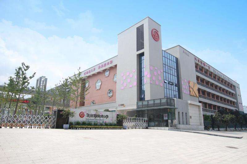 重庆小5网红,重庆五大富豪