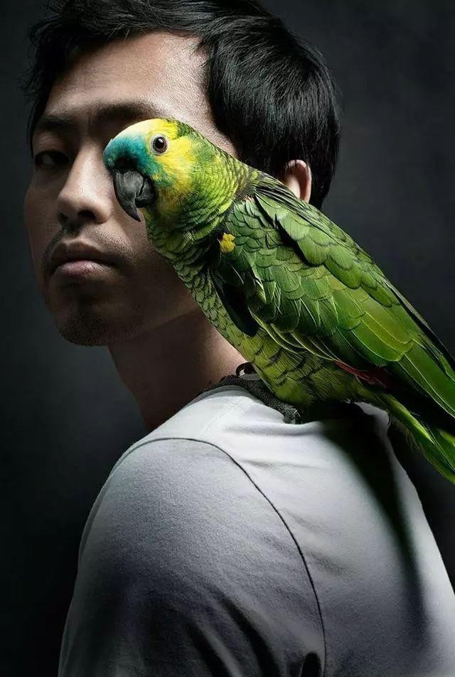 最强大脑王昱珩现在怎么样了,最强大脑王昱珩为什么那么有性格