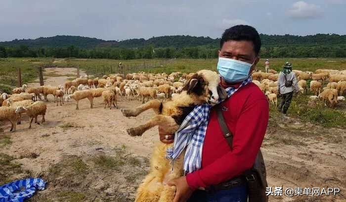 中国人在柬埔寨月入过万,柬埔寨人一般收入靠什么