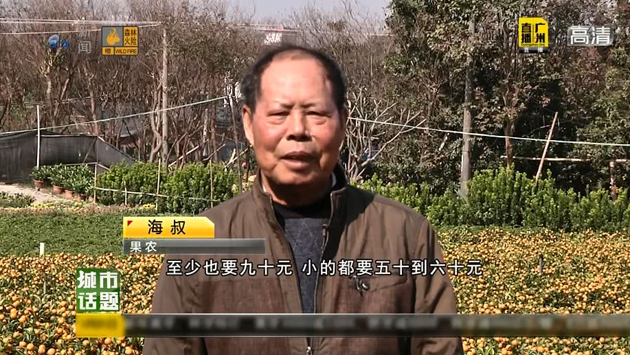 广州将举办迎春花市持续时间,广州迎春花市预约