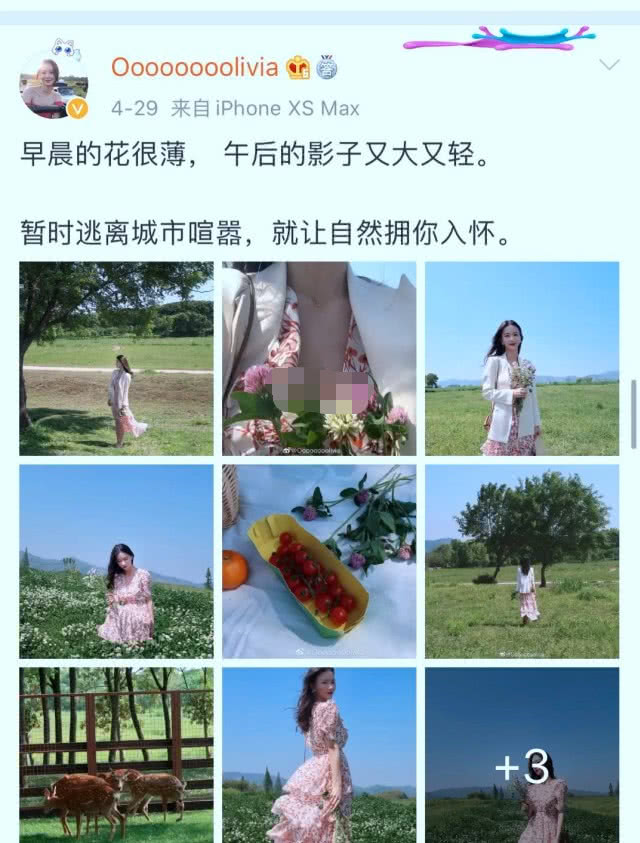 董花花与蒋凡现在怎么样了,2021董花花蒋凡最近爆料