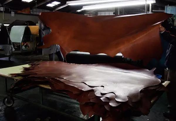 鳄鱼皮具区分几种鳄鱼皮,鳄鱼真皮皮料