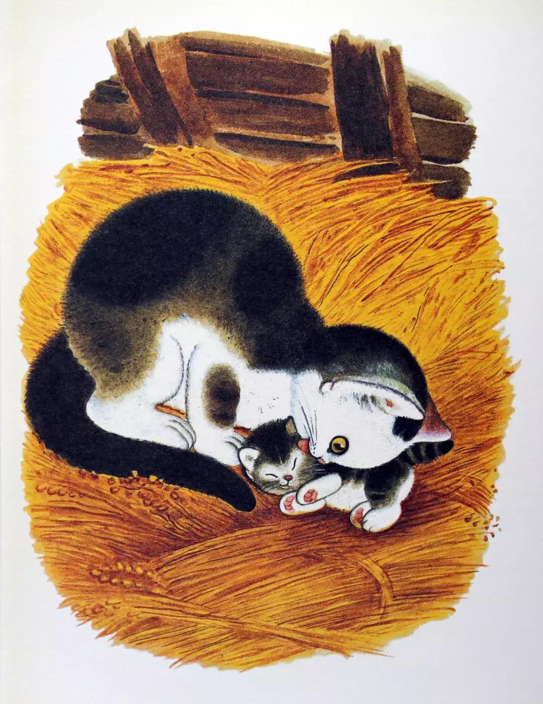 羞答答的小猫绘本故事,绘本阅读有趣的小猫