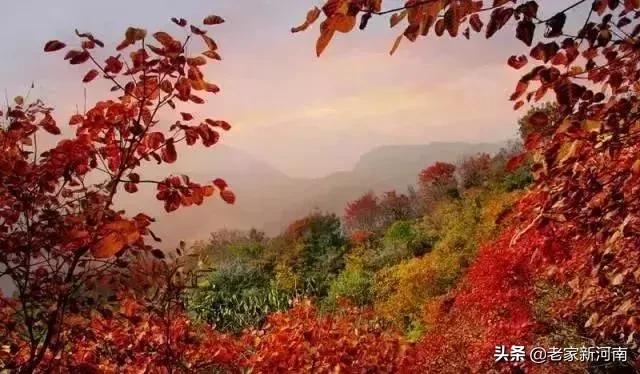 河南坐高铁方便旅行的城市,河南过年旅游哪个城市有地铁