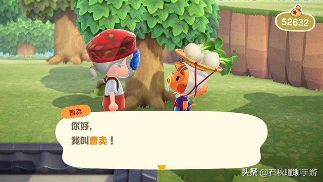 动物之森新手攻略,动物之森100个小技巧