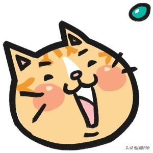 猫砂盆买什么样的最好,猫砂盆选什么的最合适