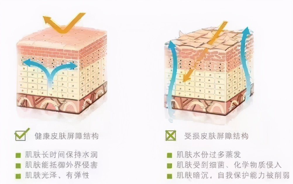 最有效的美白方法一天就见效了,美白方法公认超有效