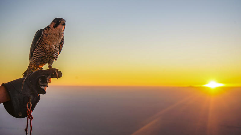 沙漠浪漫之旅迪拜,从天空进入海底