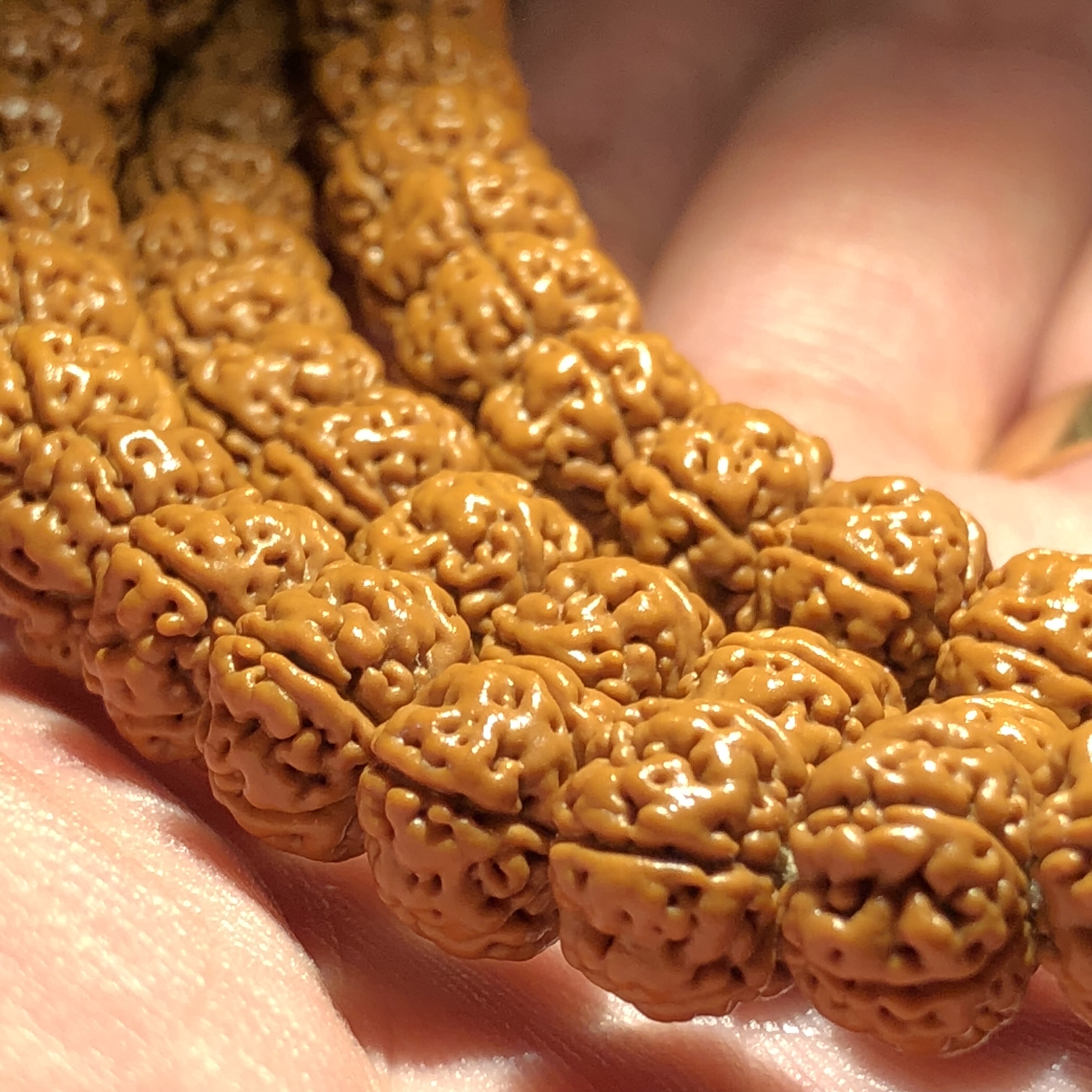 小金刚菩提108颗如何穿串,如何挑选小金刚菩提手串