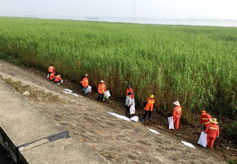 江阴长江之星农业湿地生态园,江阴利港黄丹村湿地保护区