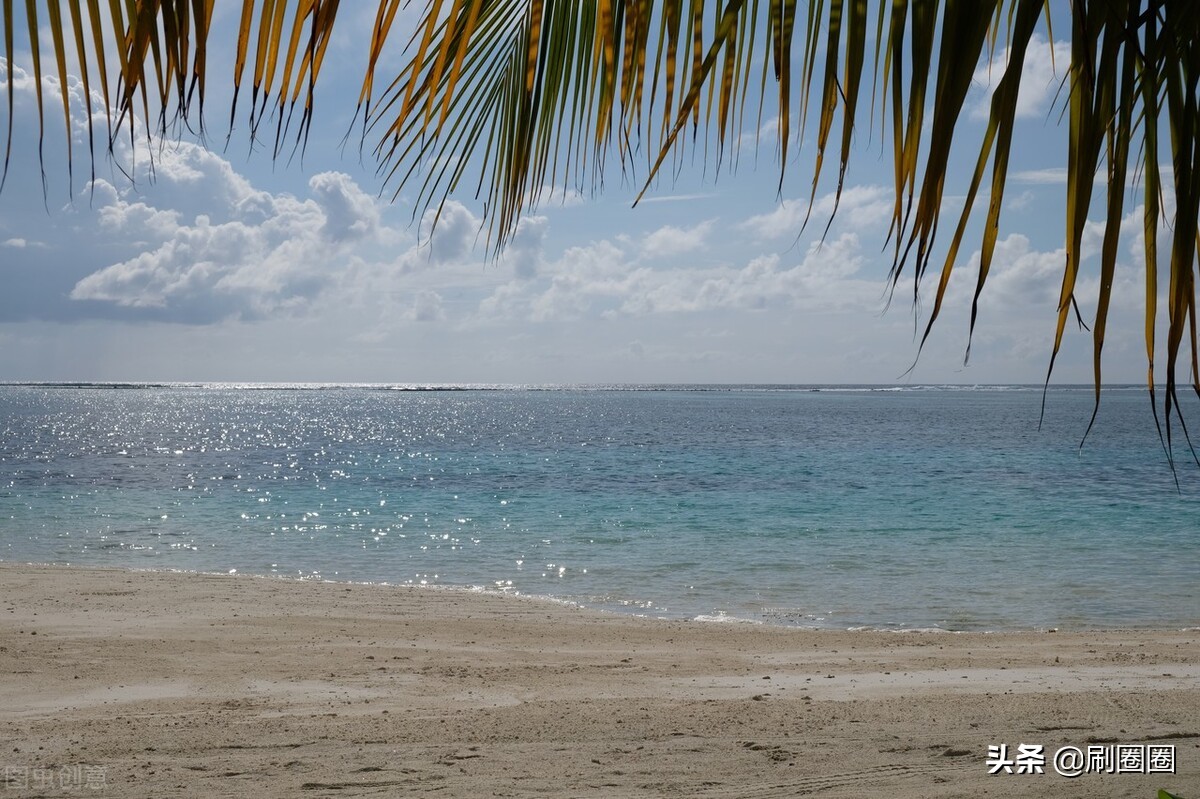 六年级作文一单元变形记范文,六上第一单元作文变形记优秀范文